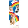 Enjoi Cool Dreams Super Sap R7 Skateboard Deck - 7.75"